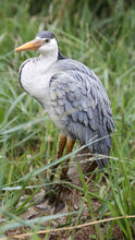 Load image into Gallery viewer, 87687-A - HERON STANDING
