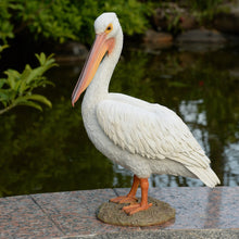 Load image into Gallery viewer, SoReal - Pelican
