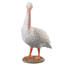 Load image into Gallery viewer, SoReal - Pelican
