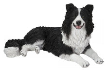 Load image into Gallery viewer, 87689-A - LYING BORDER COLLIE
