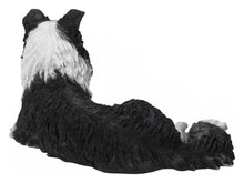 Load image into Gallery viewer, 87689-A - LYING BORDER COLLIE
