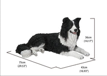 Load image into Gallery viewer, 87689-A - LYING BORDER COLLIE
