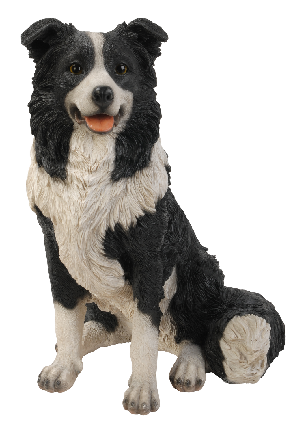 87689 - DOG-BORDER COLLIE SITTING