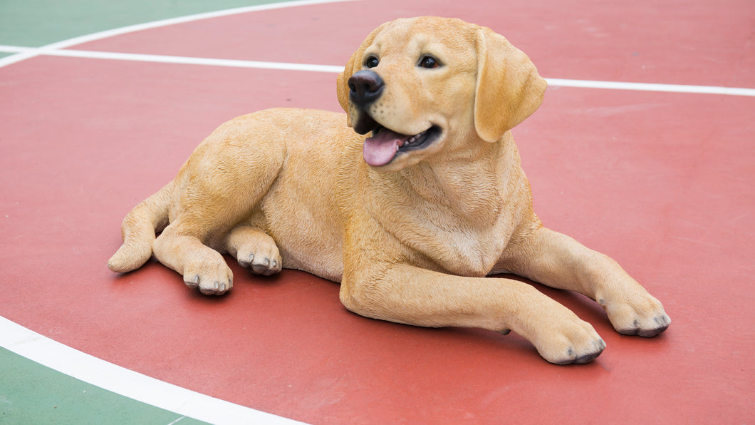 87690 - DOG-LABRADOR RETRIEVER LYING DOWN - YELLOW