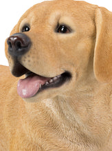 Load image into Gallery viewer, 87690 - DOG-LABRADOR RETRIEVER LYING DOWN - YELLOW
