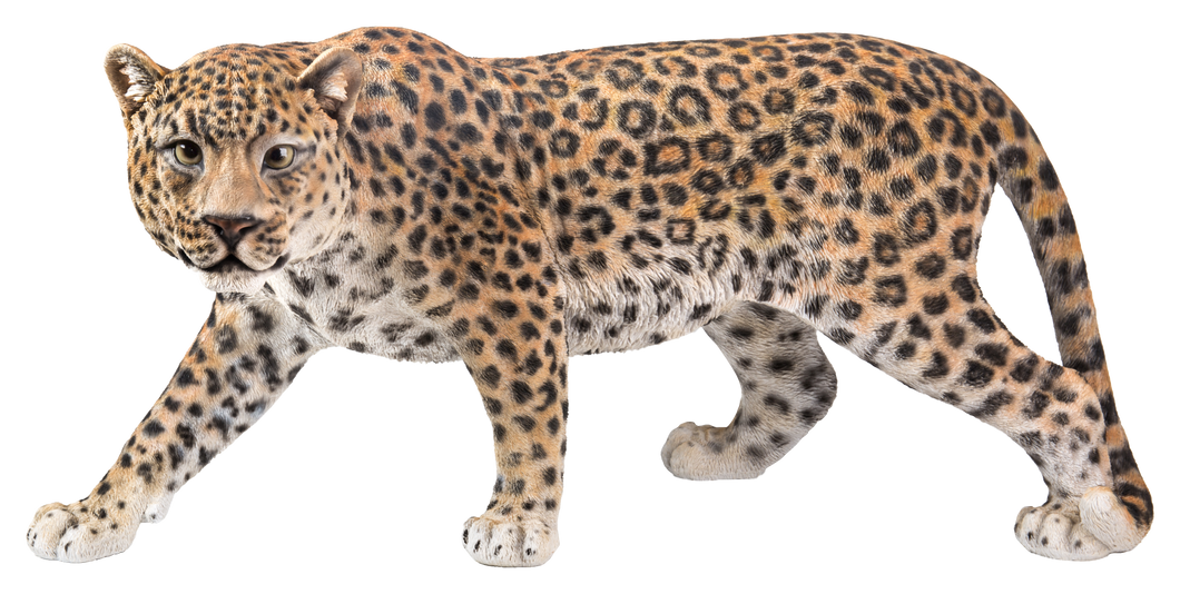 87694 - LEOPARD STALKING
