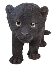 Load image into Gallery viewer, BLACK PANTHER CUB
