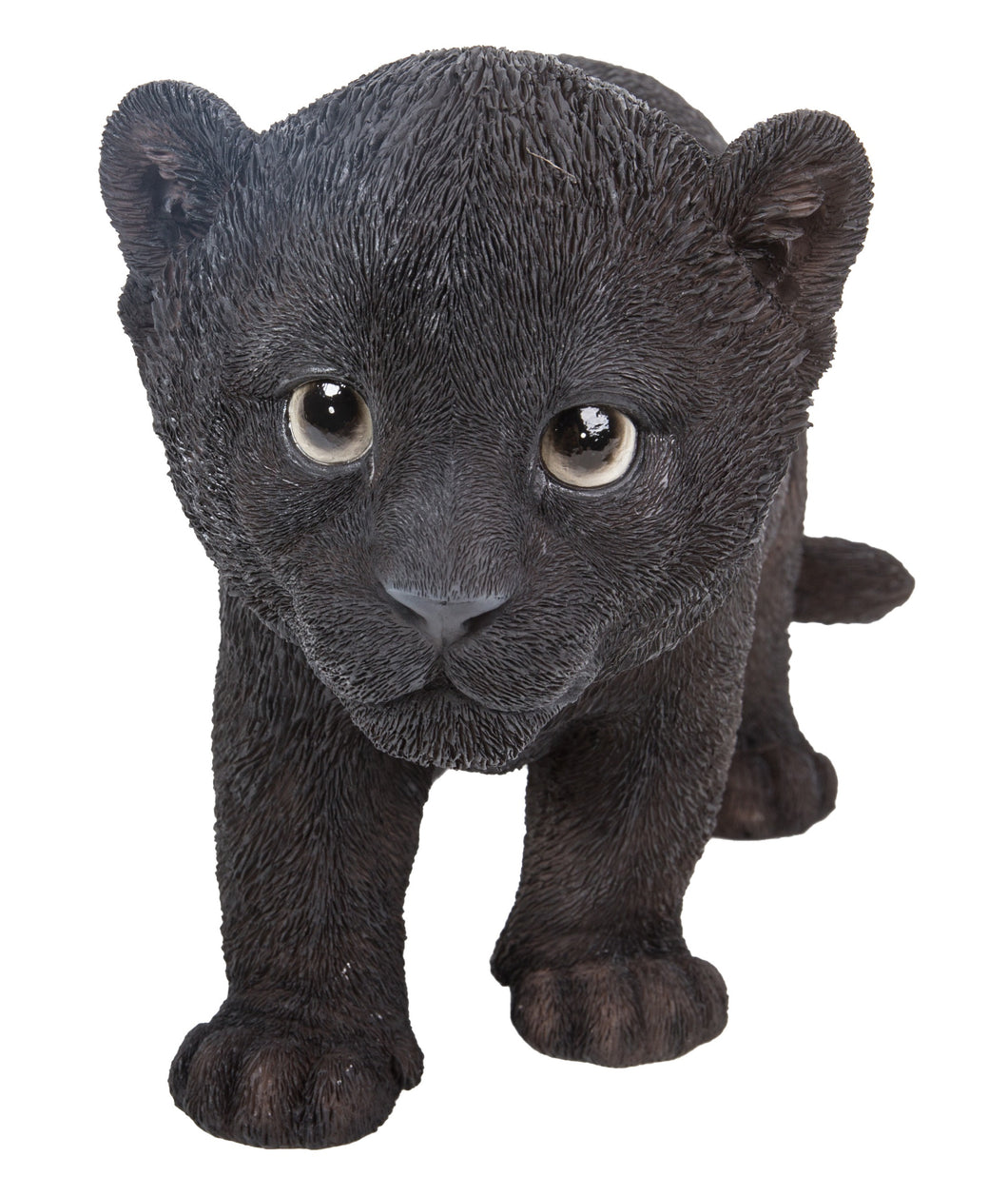 BLACK PANTHER CUB