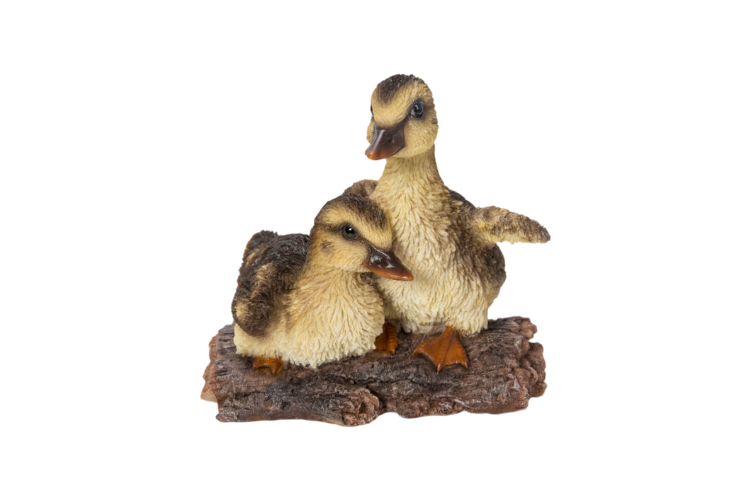 PLAYFUL DUCKLINGS