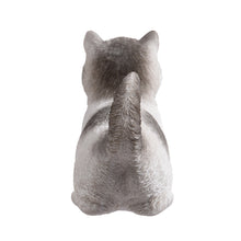 Load image into Gallery viewer, SoReal - Tabby Kitten
