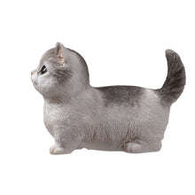 Load image into Gallery viewer, SoReal - Tabby Kitten
