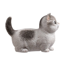 Load image into Gallery viewer, SoReal - Tabby Kitten
