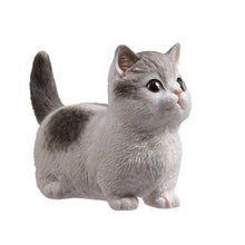 Load image into Gallery viewer, SoReal - Tabby Kitten
