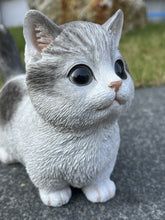 Load image into Gallery viewer, SoReal - Tabby Kitten
