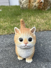 Load image into Gallery viewer, SoReal - Kitten
