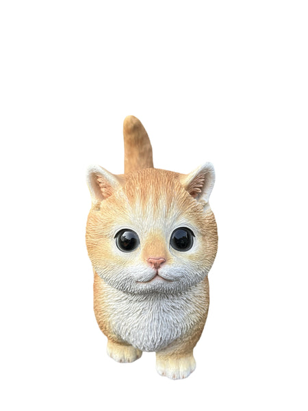 SoReal - Kitten