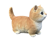 Load image into Gallery viewer, SoReal - Kitten
