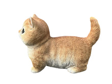 Load image into Gallery viewer, SoReal - Kitten
