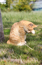 Load image into Gallery viewer, 87698-A - CAT-AMERICAN SHORTHAIR WASHING - ORANGE TABBY
