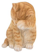 Load image into Gallery viewer, 87698-A - CAT-AMERICAN SHORTHAIR WASHING - ORANGE TABBY
