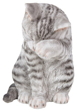 Load image into Gallery viewer, 87698-B - CAT-AMERICAN SHORTHAIR WASHING - GREY TABBY
