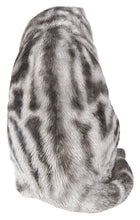 Load image into Gallery viewer, 87698-B - CAT-AMERICAN SHORTHAIR WASHING - GREY TABBY
