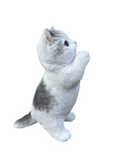 Load image into Gallery viewer, SoReal - Standing Tabby Cat
