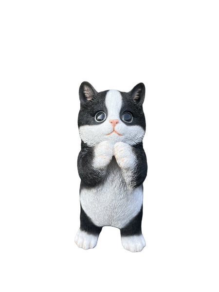 SoReal - Standing Cat