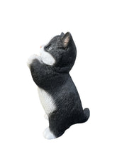 Load image into Gallery viewer, SoReal - Standing Cat
