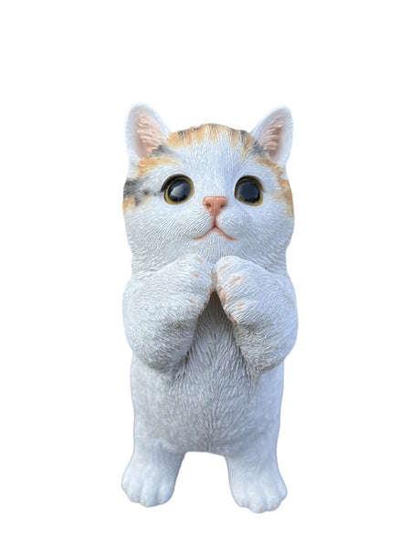SoReal - Standing Cat