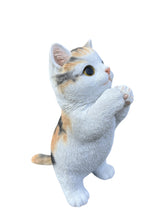 Load image into Gallery viewer, SoReal - Standing Cat

