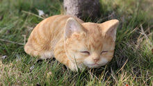 Load image into Gallery viewer, 87699-A - CAT-KITTEN SLEEPING - ORANGE TABBY
