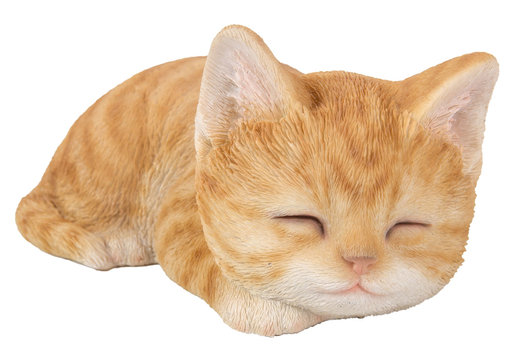 CAT-KITTEN SLEEPING - ORANGE TABBY