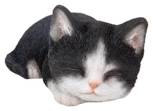 Load image into Gallery viewer, CAT-KITTEN SLEEPING - BLACK &amp; WHITE
