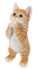 Load image into Gallery viewer, 87703-A - CAT-KITTEN PLAYING - ORANGE TABBY
