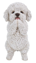 Load image into Gallery viewer, 87703-B - DOG-POODLE PUPPY PLAYING
