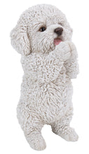 Load image into Gallery viewer, 87703-B - DOG-POODLE PUPPY PLAYING
