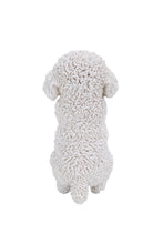 Load image into Gallery viewer, 87703-B - DOG-POODLE PUPPY PLAYING
