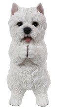 Load image into Gallery viewer, 87703-C - DOG-WESTIE PLAYING
