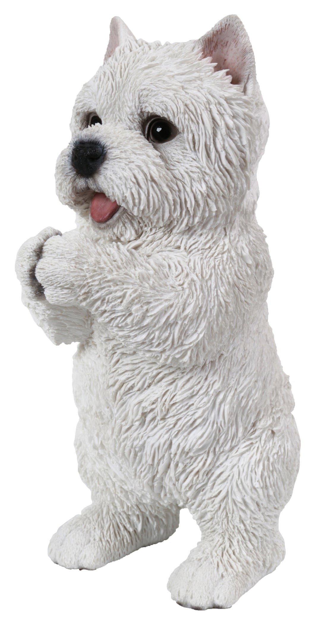 DOG-WESTIE PLAYING
