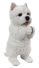 Load image into Gallery viewer, 87703-C - DOG-WESTIE PLAYING
