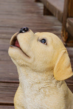 Load image into Gallery viewer, 87703-G - HOWLING YELLOW LABRADOR PUPPY STATUE
