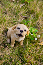 Load image into Gallery viewer, 87703-G - HOWLING YELLOW LABRADOR PUPPY STATUE
