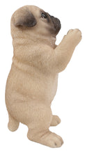 Load image into Gallery viewer, 87703-L - PRAYING PUG PUPPY STATUE
