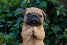 Load image into Gallery viewer, 87703-L - PRAYING PUG PUPPY STATUE
