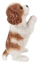 Load image into Gallery viewer, 87703-M - PRAYING KING CHARLES PUPPY STATUE
