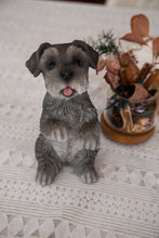 Load image into Gallery viewer, 87703-S - STANDING MINIATURE SCHNAUZER
