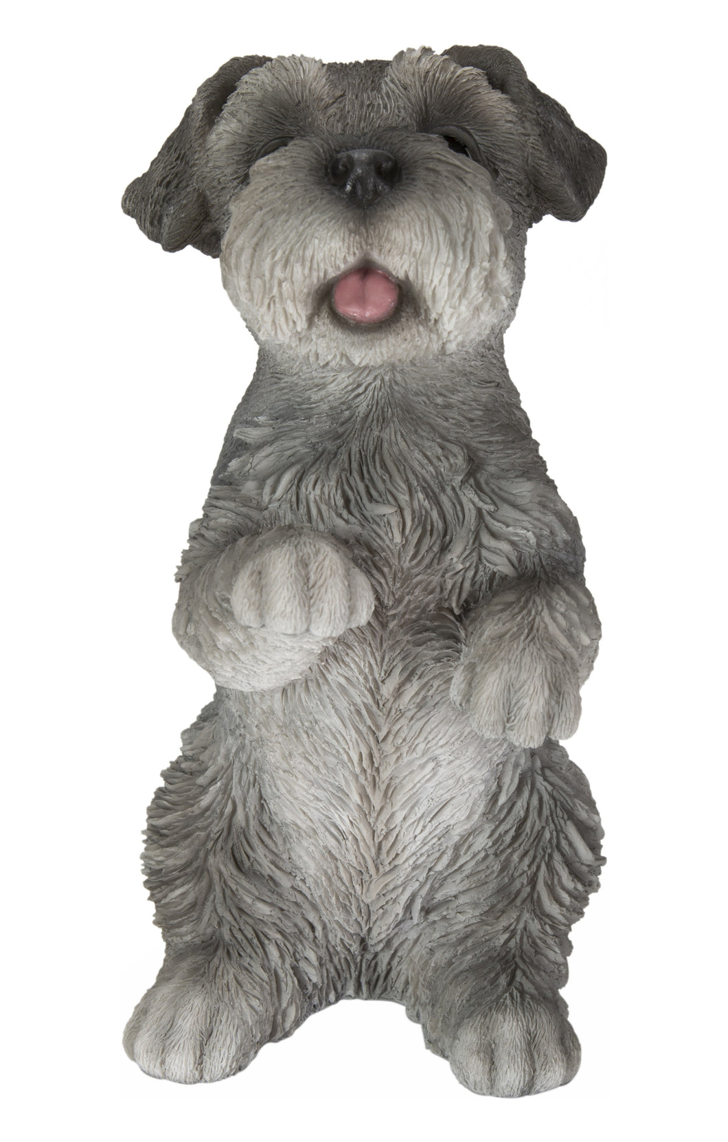STANDING MINIATURE SCHNAUZER