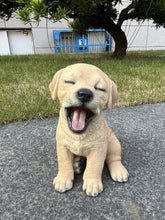 Load image into Gallery viewer, SoReal - Yawning Labrador
