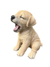 Load image into Gallery viewer, SoReal - Yawning Labrador

